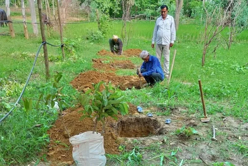 अयोध्या: कोरोना काल में रोजगार देने में जुटा प्रशासन