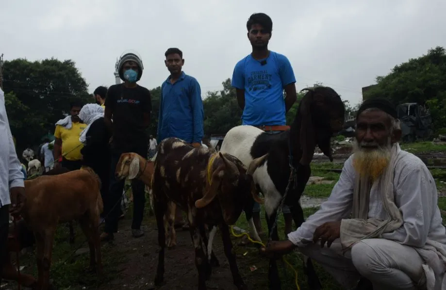 बरेली: बकरों के बाजार पर कोरोना लगाए रहा ग्रहण