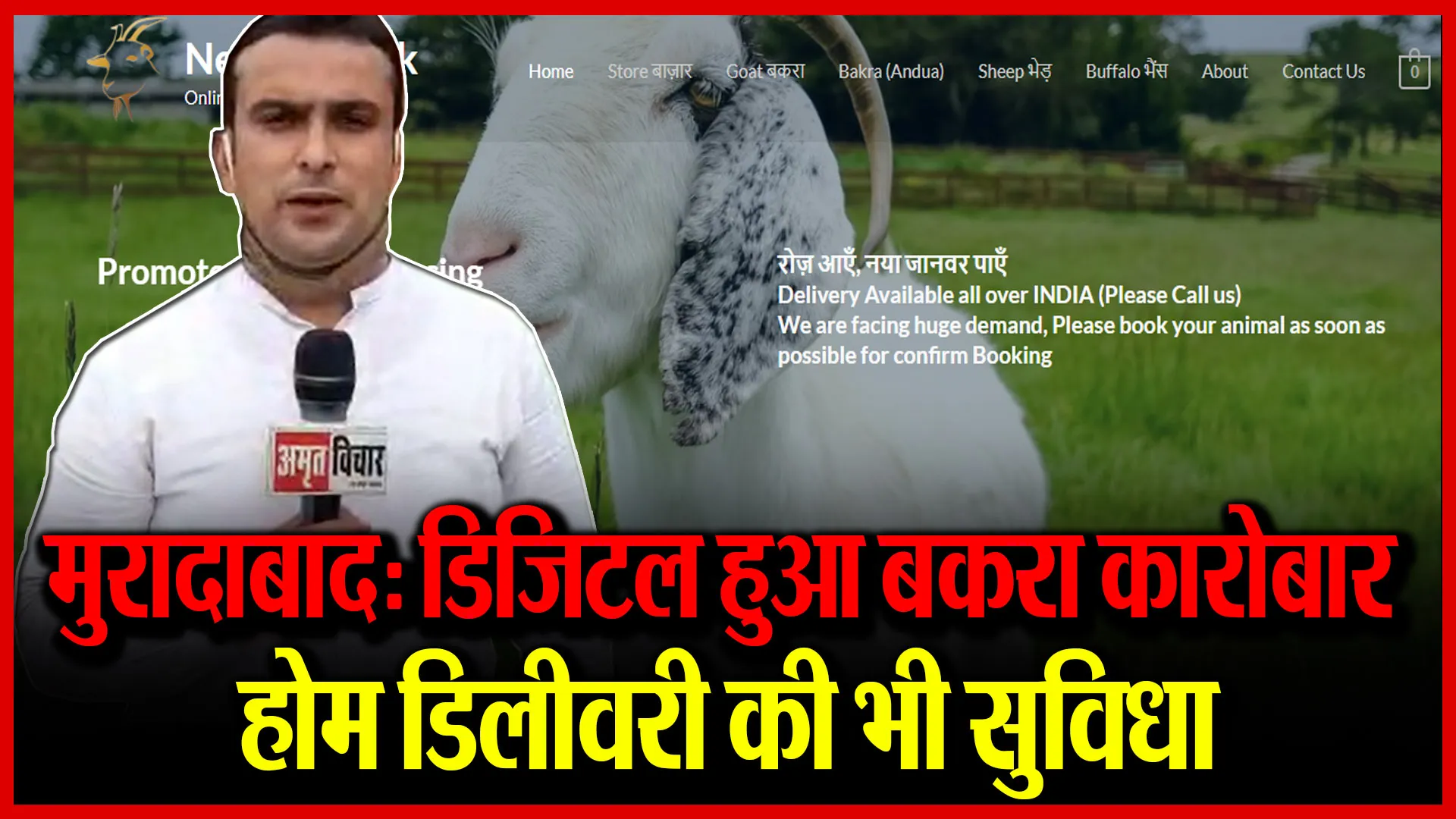 मुरादाबाद: डिजिटल हुआ बकरा कारोबार, होम डिलीवरी की भी सुविधा