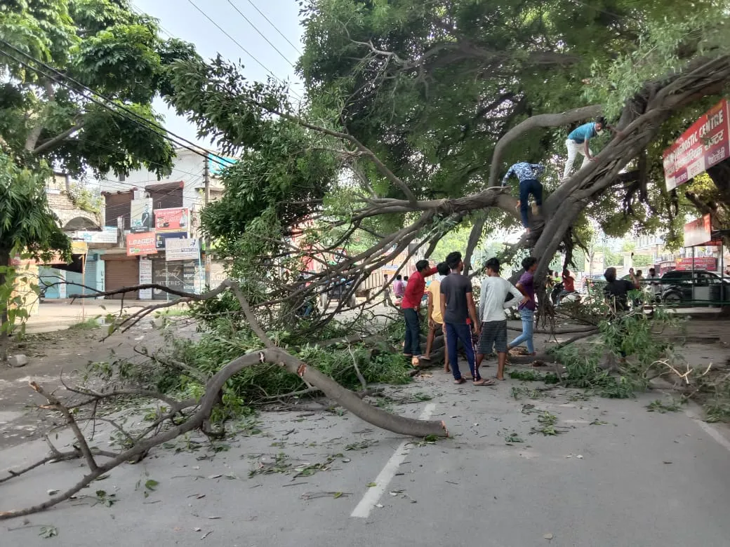 बरेली: कुदेशिया रोड पर गिरा पेड़, रास्ता हुआ जाम