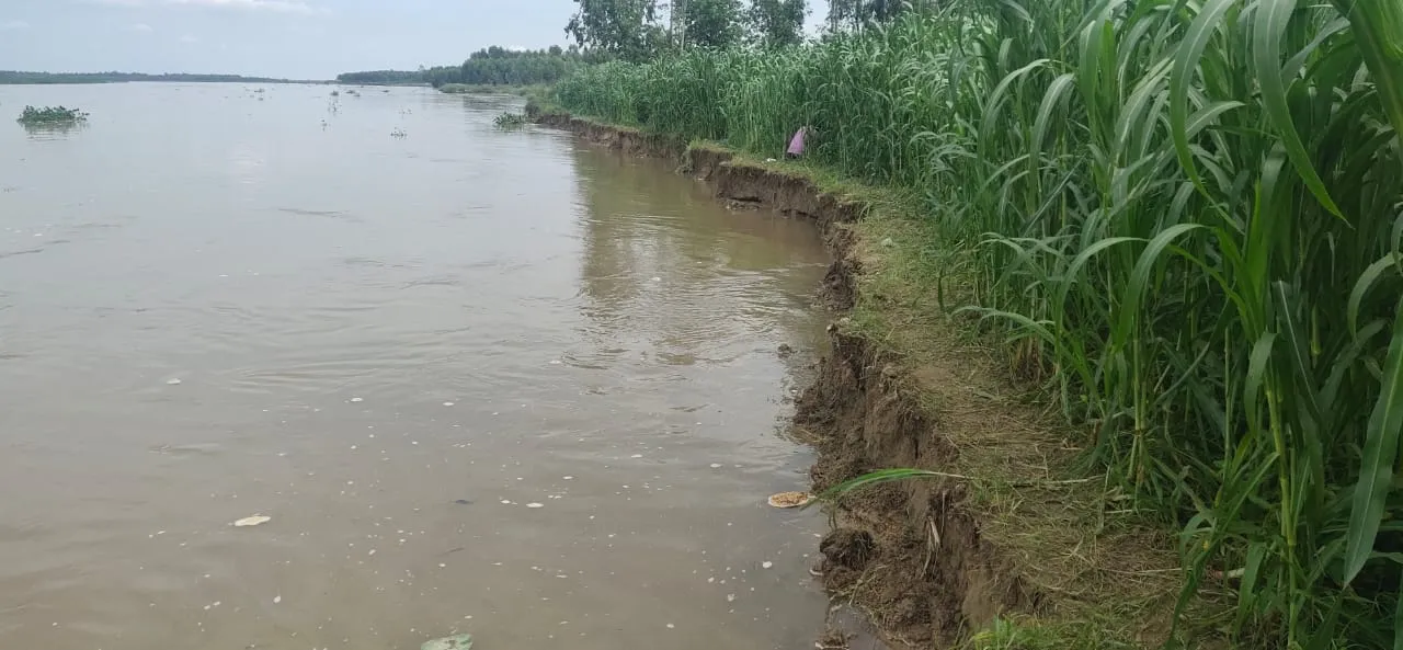 बरेली: हजारों बीघा फसल बर्बाद करके घटने लगा रामगंगा का जलस्तर