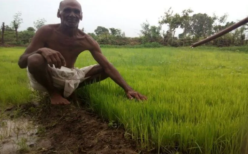बरेली: ‘सम्मान’ पाकर खिल उठे किसानों के चेहरे