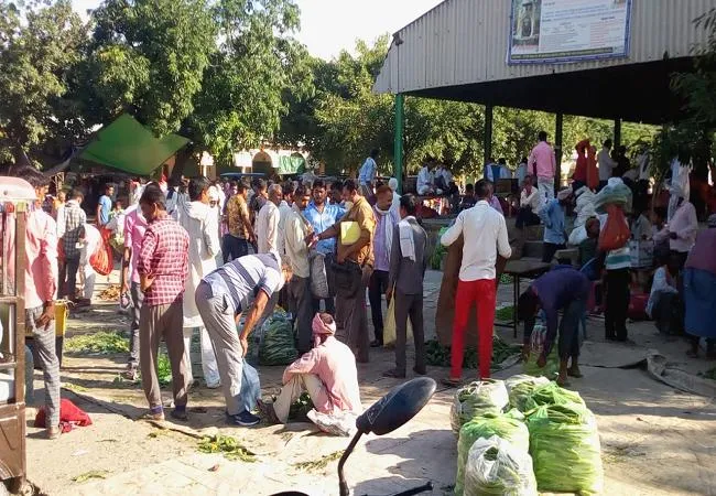 अमरोहा: लोगों में नहीं कोरोना का खौफ, मंडी समिति में उड़ रही सोशल डिस्टेंस की धज्जियां