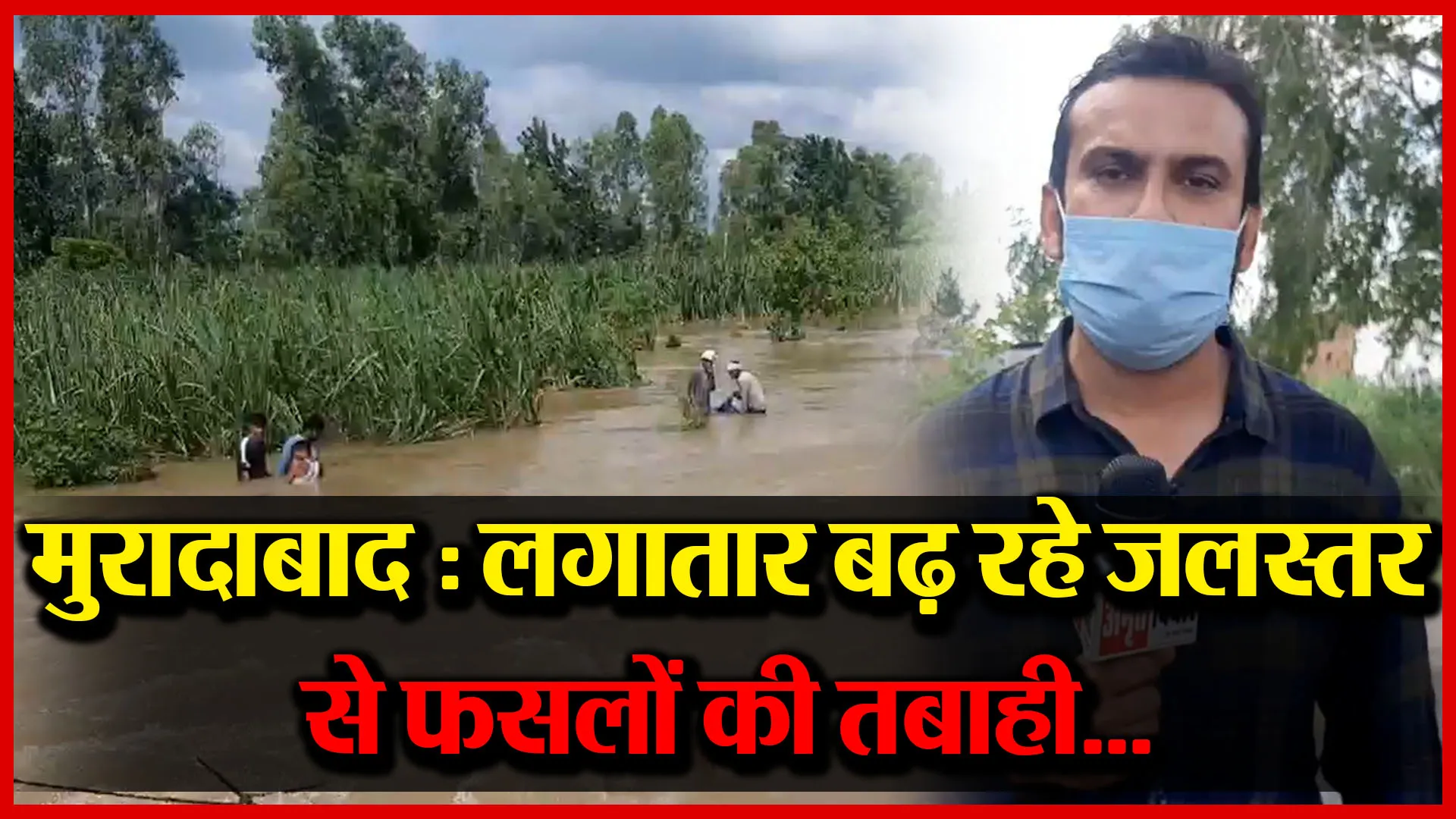 मुरादाबाद : लगातार बढ़ रहे जलस्तर से फसलों की तबाही…| Amrit Vichar