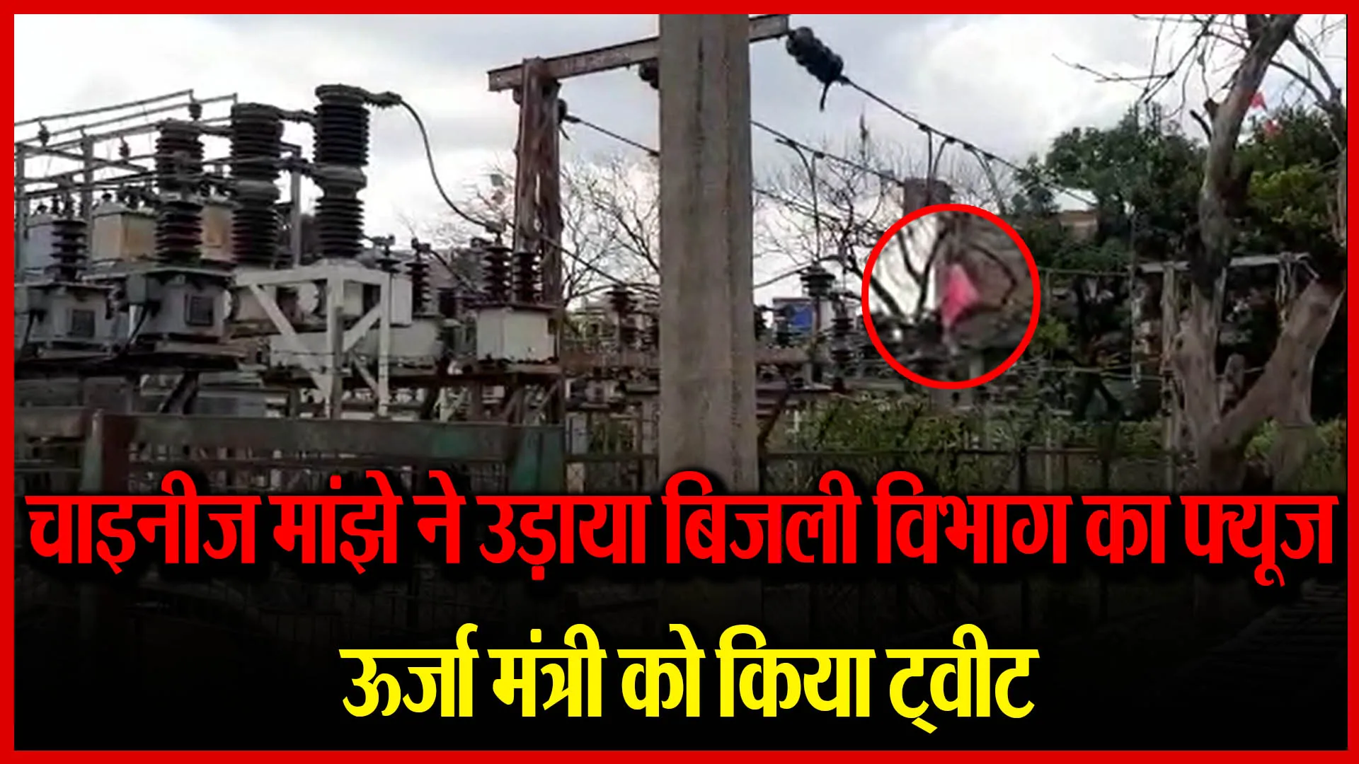 मुरादाबाद: चाइनीज़ मांझे ने उड़ाया बिजली विभाग का फ्यूज़, ऊर्जा मंत्री को किया ट्वीट