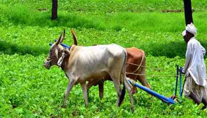 बरेली: चार लाख किसानों को अब भी छठी किस्त का इंतजार