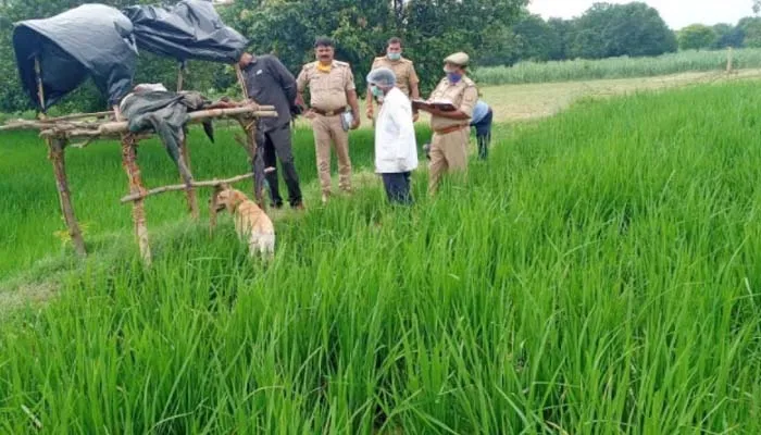 अयोध्या में वृद्ध किसान की धारदार हथियार से हत्या, कर रहा था फसल की रखवाली