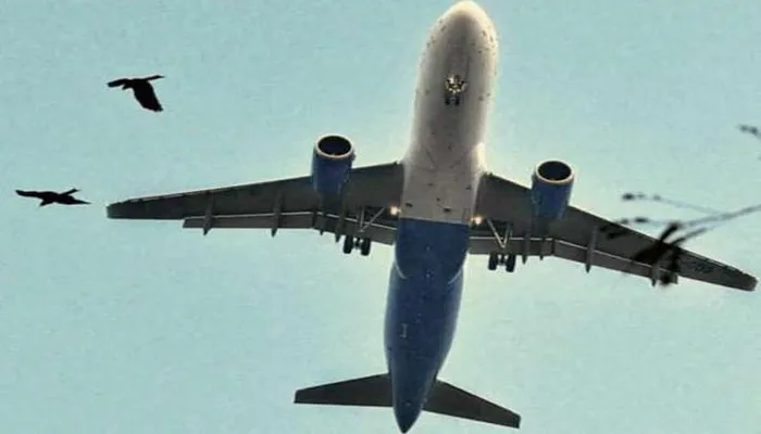 अंतरराष्ट्रीय उड़ानों पर प्रतिबंध 31 अगस्त तक बढ़ा