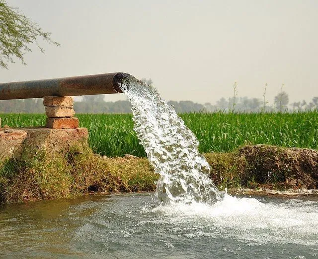 शाहजहांपुर: ट्यूबवेलों से धान की सिंचाई, गिरेगा भूजल स्तर