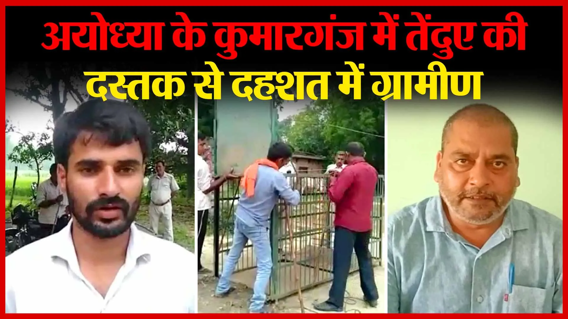अयोध्या के कुमारगंज में तेंदुए की दस्तक से दहशत में ग्रामीण | Amritvichar