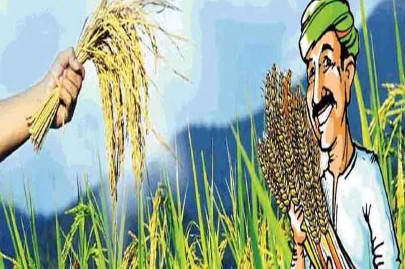 संशय में किसान