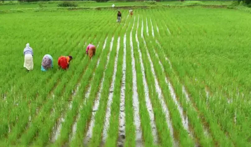 उप्र: किसानों के लिए समर्पित नया निकाय बनाएगी योगी सरकार