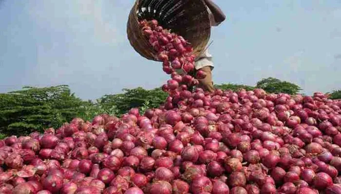 प्याज के निर्यात पर लगी रोक, कीमतों में नरमी की उम्मीद