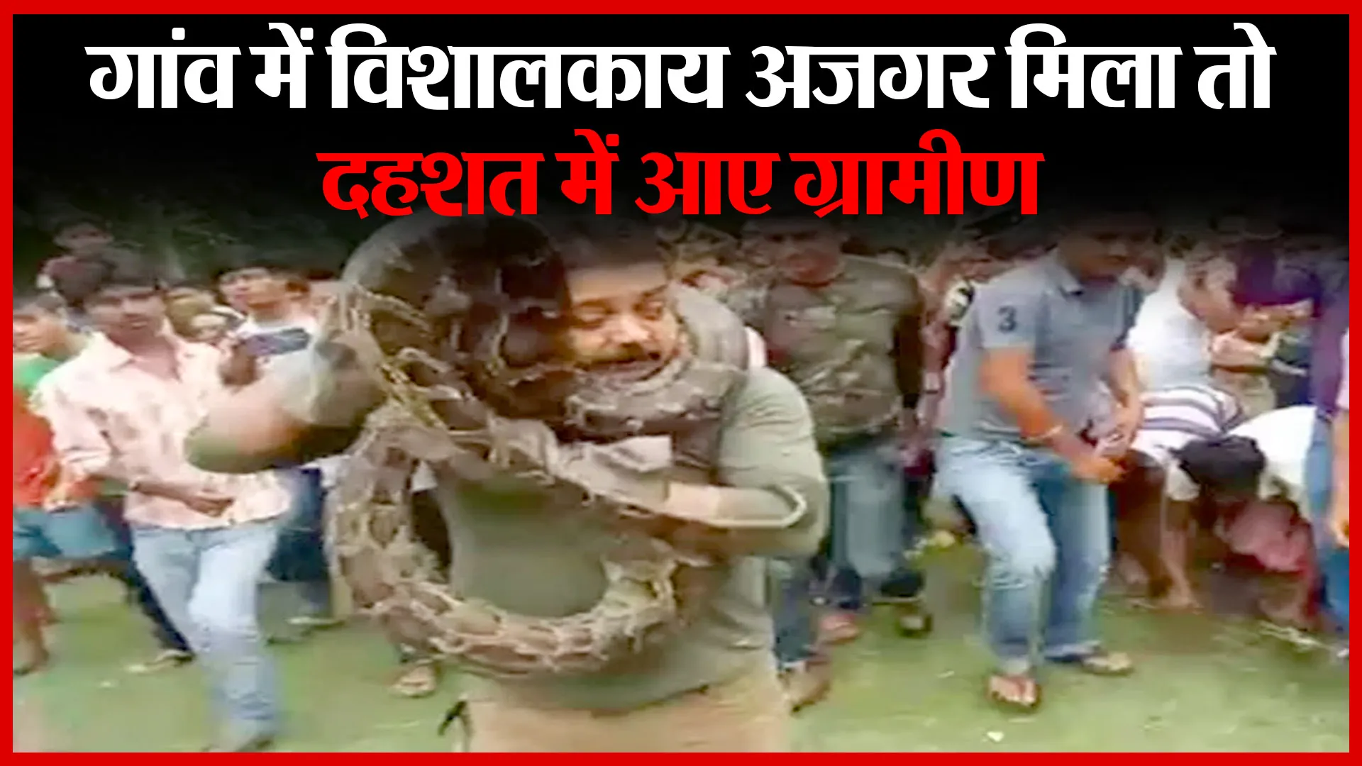 अमरोहा: गांव में विशालकाय अजगर मिला तो दहशत में आए ग्रामीण | Amritvichar