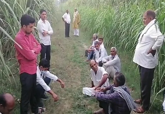 अमरोहा:  संदिग्ध परिस्थितियों में पेड़ से लटका मिला युवक का शव