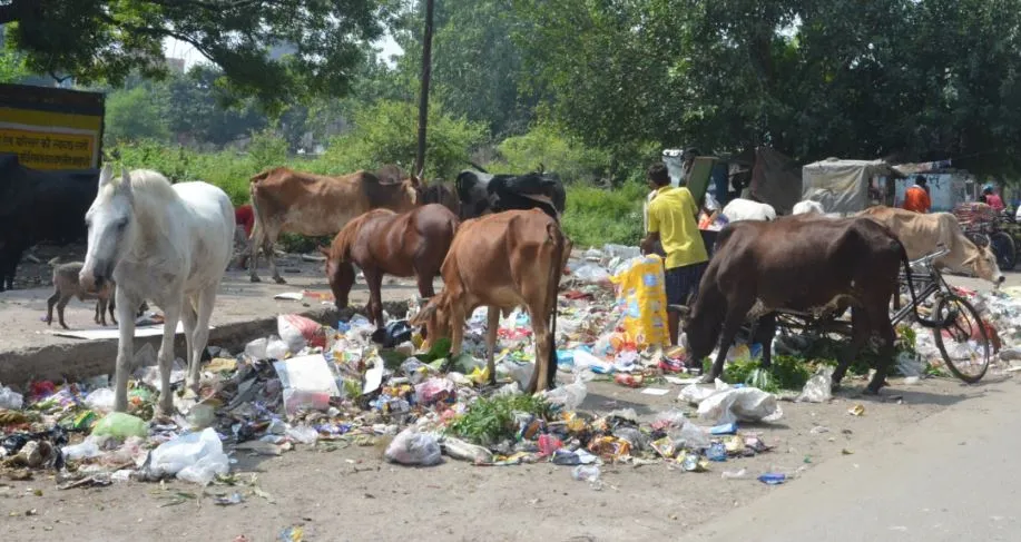 बरेली: सोमवार को हड़ताल पर रहेंगे सफाईकर्मी, कैसे उठेगा कूड़ा