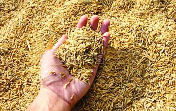 उप्र: धान क्रय केंद्रों के निरीक्षण के लिए नोडल अधिकारी नामित