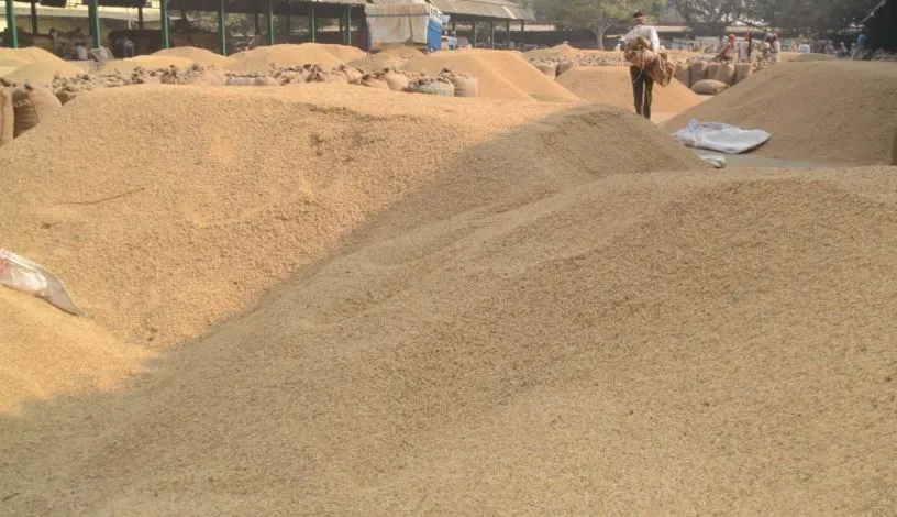 बरेली: 73 धान क्रय केंद्रों की निगरानी के लिए 17 नोडल अधिकारी तैनात