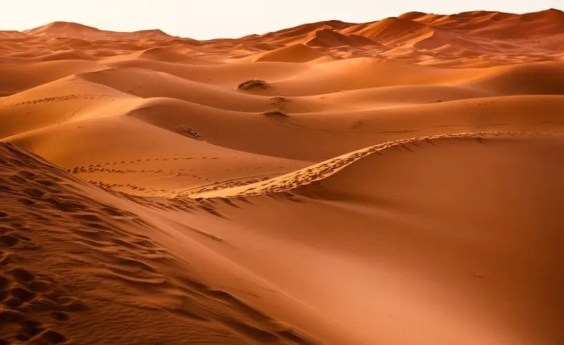 थार मरूस्थल में 172 हजार साल पहले बहने वाली नदी का पता लगा