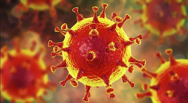 अब लोग घर पर ही कर सकेंगे कोरोना की जांच, पहली किट को मिली मंजूरी