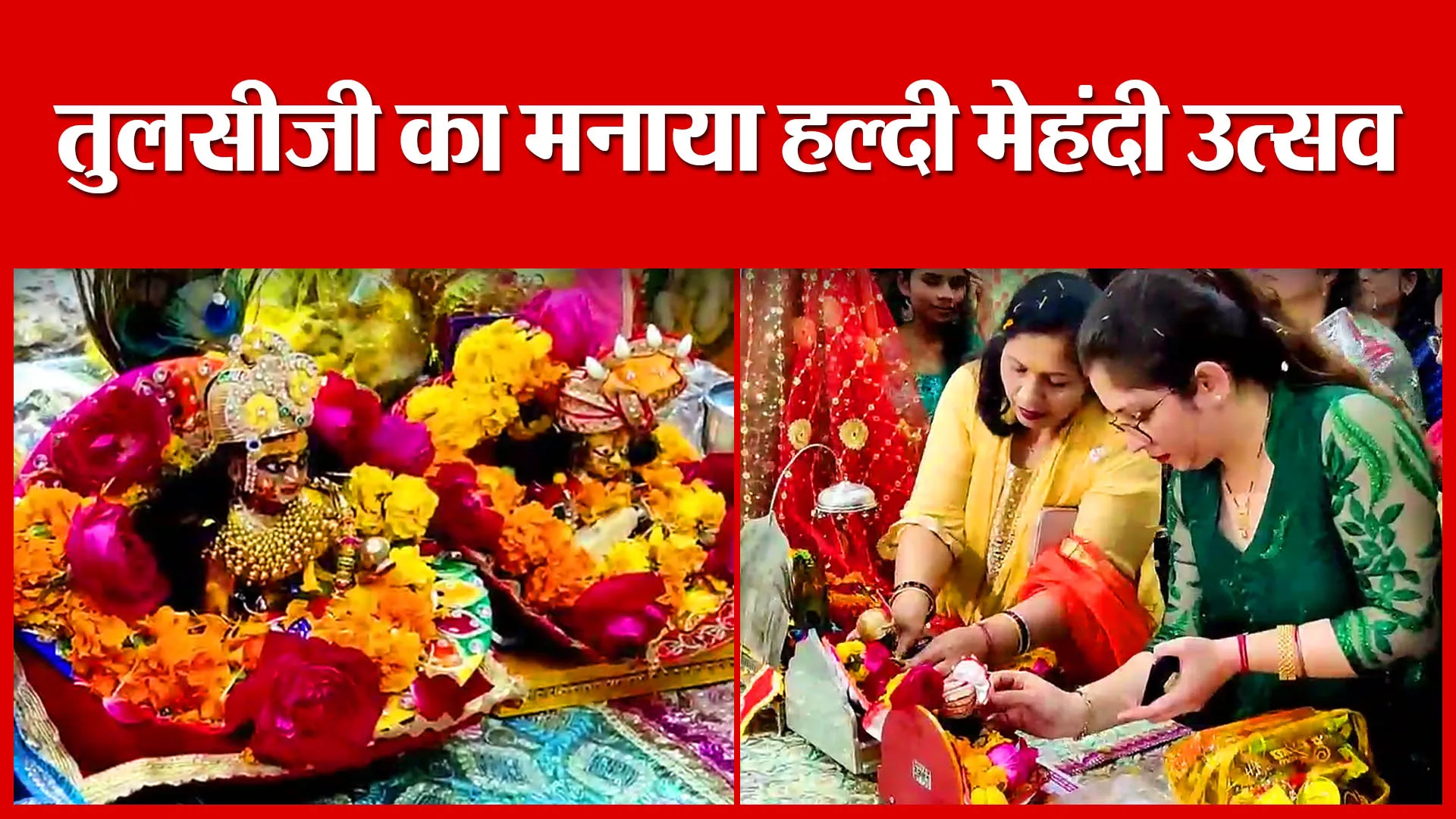 Shahjahanpur: तुलसीजी का मनाया हल्दी मेहंदी उत्सव | Amritvichar