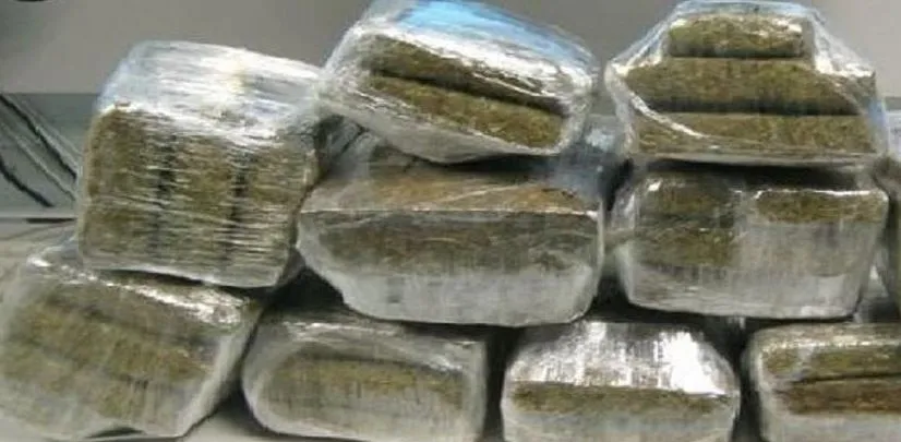 हरिद्वार: पुलिस को देख भागी महिला...तलाशी में मिला 17 किलो से ज्यादा गांजा