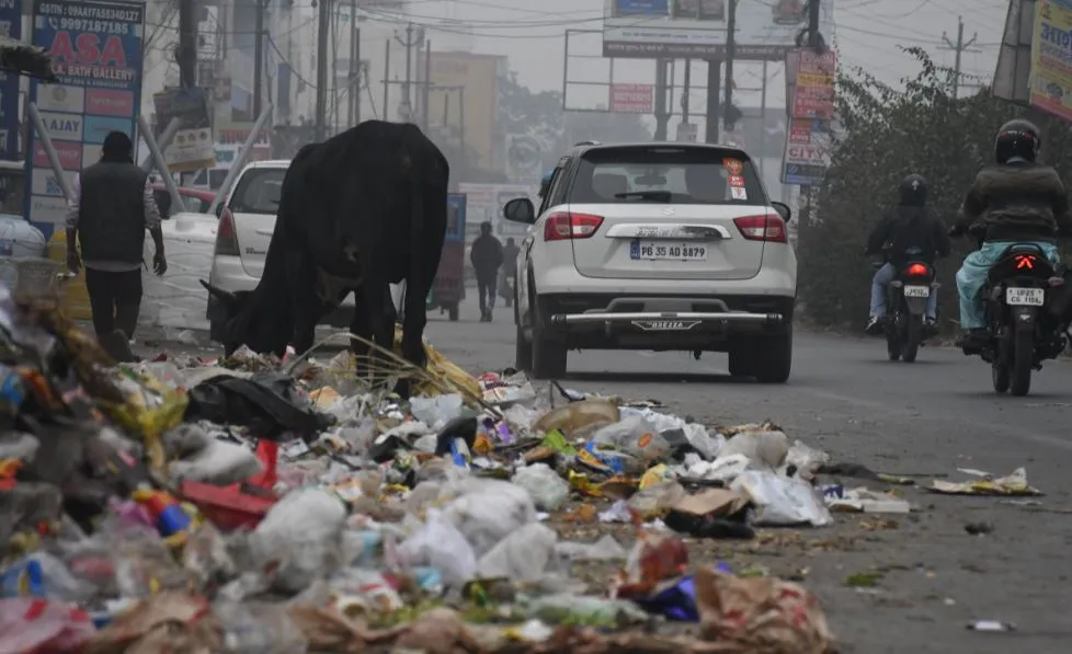 बरेली: स्वच्छता की परीक्षा का अगले माह आएगा परिणाम, तैयारी अधूरी