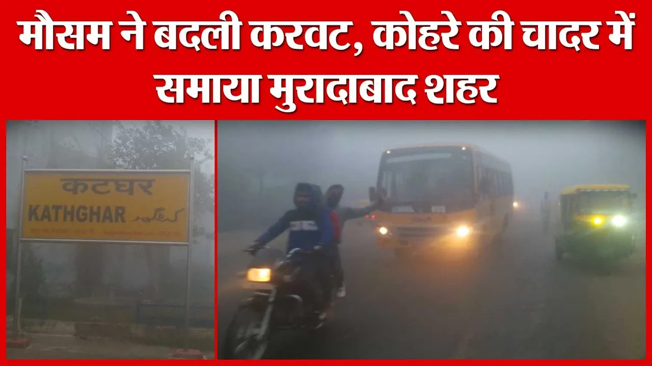 मौसम ने बदली करवट, कोहरे की चादर में समाया मुरादाबाद शहर | Amritvichar