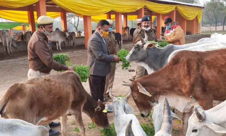 त्रिलोकपुर: कैदियों द्वारा गोशालाओं में की जा रही सेवा का निरीक्षण करने पहुंचे डीआईजी