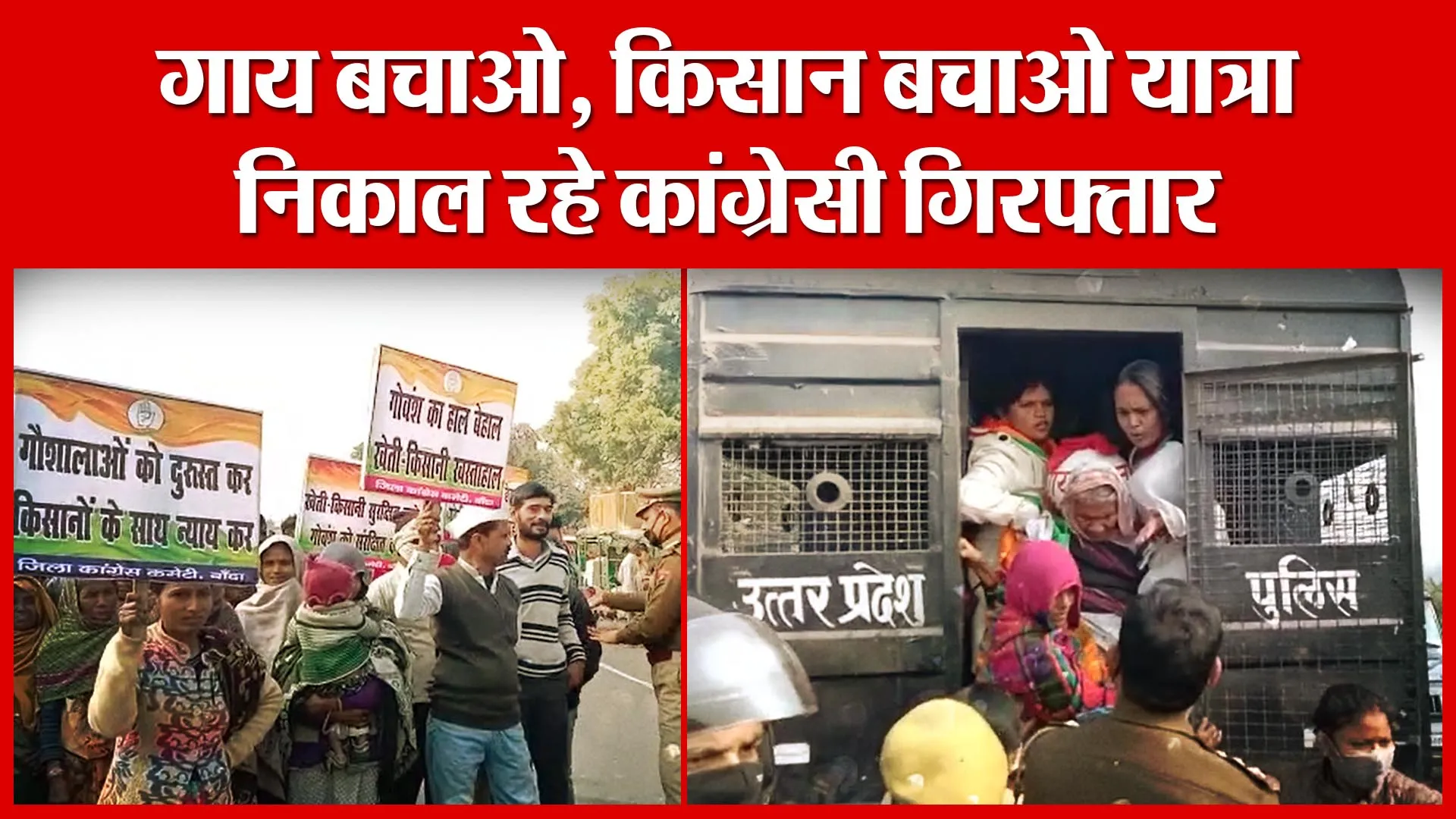 Banda: गाय बचाओ, किसान बचाओ यात्रा निकाल रहे कांग्रेसी गिरफ्तार | Amritvichar