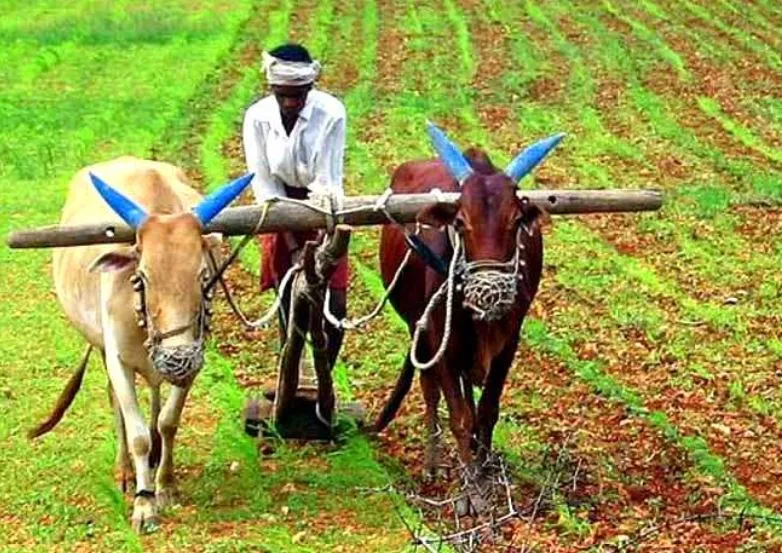 झारखंड में नौ लाख किसानों का कर्ज होगा माफ
