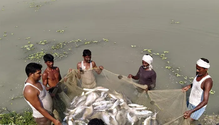 बरेली: कम लागत में अच्छा मुनाफा दिला रही ‘जल की रानी’