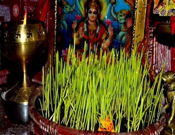 उत्तराखंड सरकार ने हरेला पर्व पर सार्वजनिक अवकाश किया घोषित