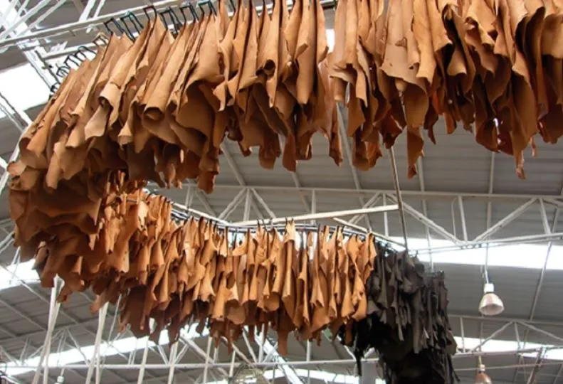 केंद्र सरकार ने कानपुर में ग्रीन फील्ड मेगा लेदर पार्क की स्थापना को दी मंजूरी