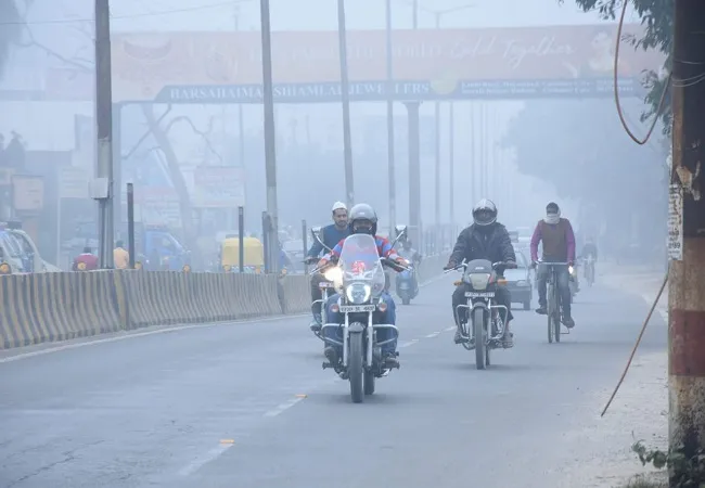 मुरादाबाद: कोहरे की बिछी चादर, सवा 11 बजे नजर आया सूरज