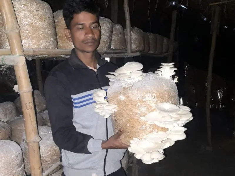 बरेली: खेती में बहाया पसीना तो मशरूम से मशहूर हो गए संतोष