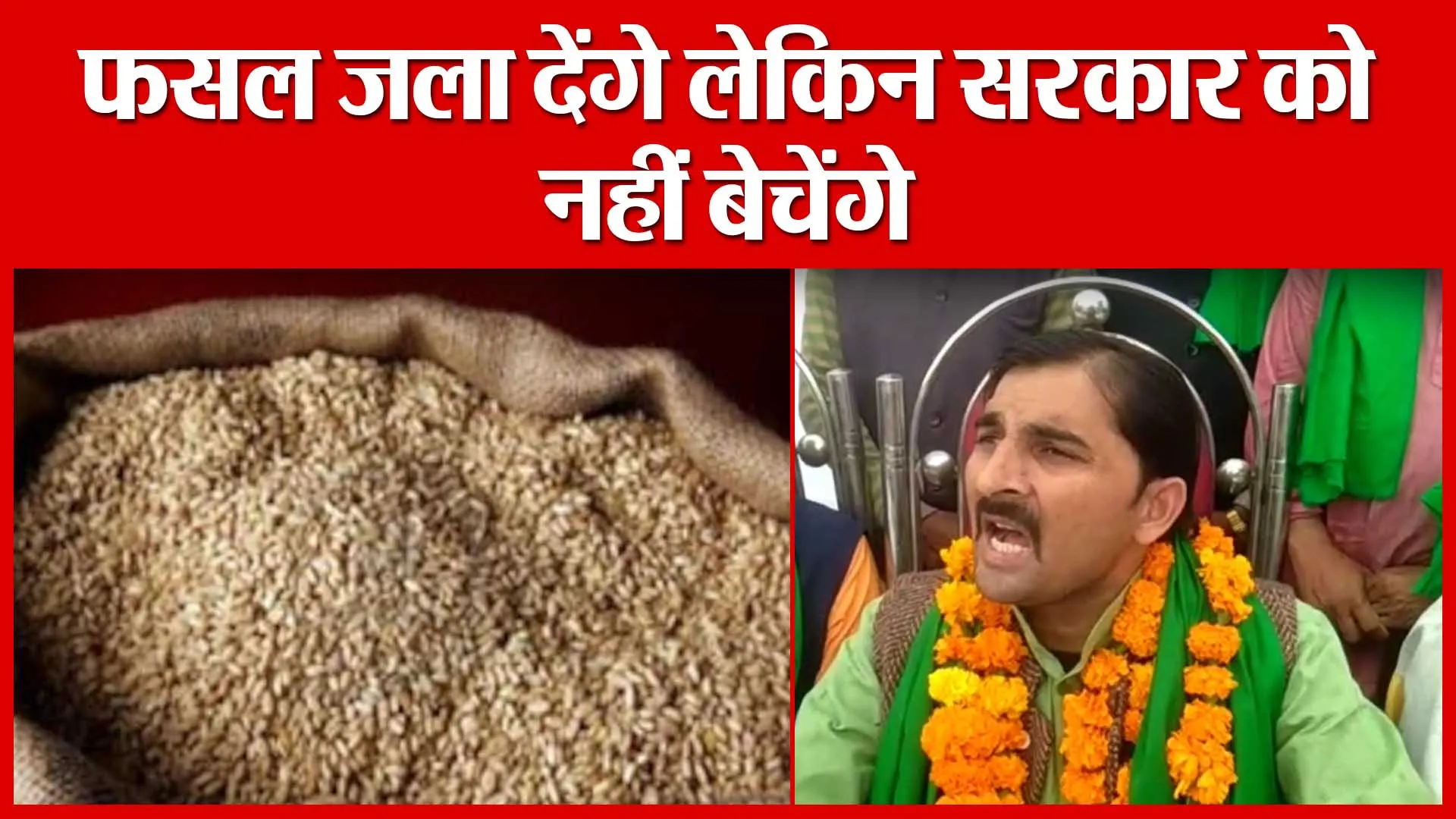 Moradabad: फसल जला देंगे लेकिन सरकार को नहीं बेचेंगे | Amritvichar