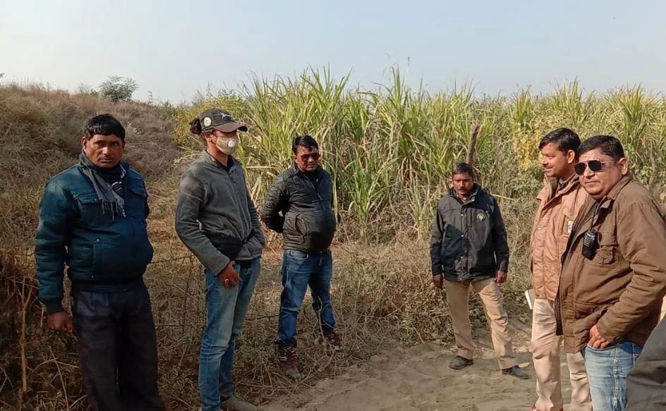 बरेली: बाघिन की तालाश में पीलीभीत से आई टीम रामगंगा तटबंध के आसपास लगाए कैमरे