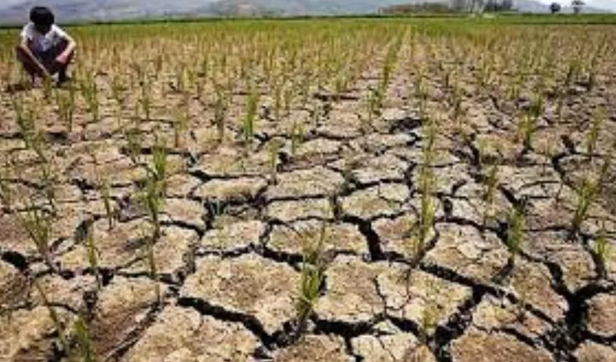 भारत में सूखा पड़ने की लगभग आधी घटनाएं संभवत: इस वजह से हुईं, रिसर्च में हुआ खुलासा