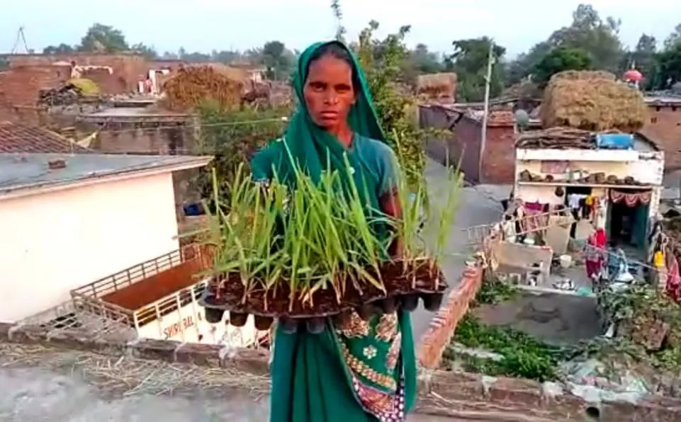 बरेली: कृषि क्षेत्र में महिला किसानों को आत्मनिर्भर बना रहा गन्ना विभाग