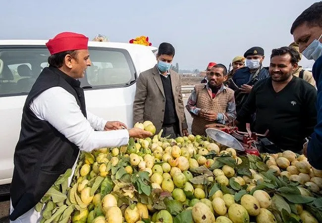 अमरूद खरीदते अखिलेश यादव ने शेयर की तस्वीर, पूछा- अभी भी ये ‘इलाहाबादी’ है या ‘प्रयागराजी’ हो गया?