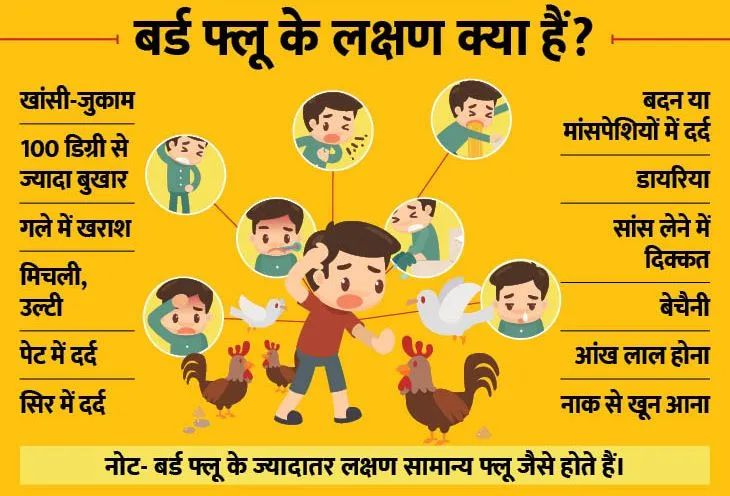 हल्द्वानी: क्या आपको जुकाम ,खांसी ,गले में दर्द,सर दर्द ,मांस पेशियों में ऐंठन के साथ सांस लेने में भी दिक्कत है …!