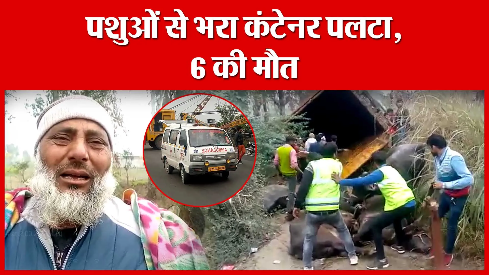 Amroha: पशुओं से भरा कंटेनर पलटा, 6 की मौत | Amritvichar