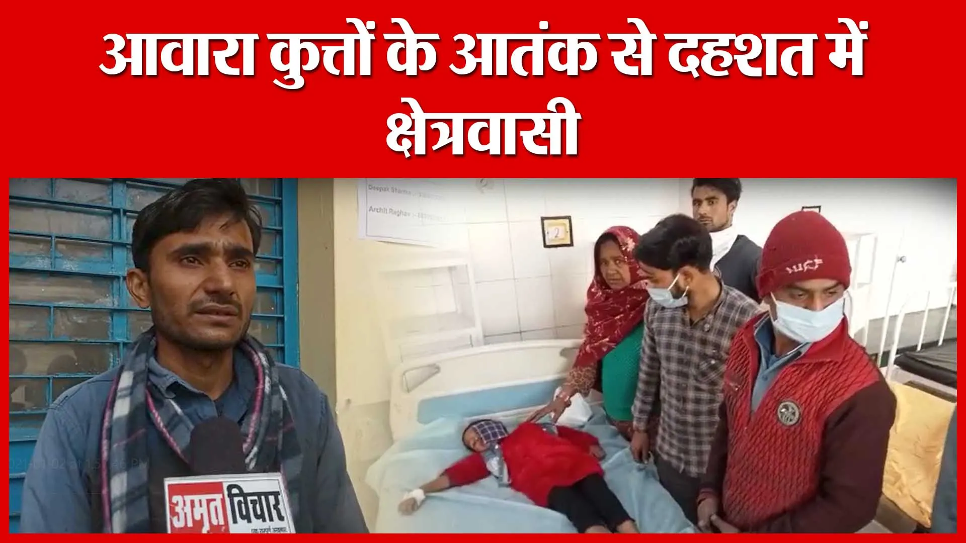 Moradabad: आवारा कुत्तों के आतंक से दहशत में क्षेत्रवासी | Amritvichar