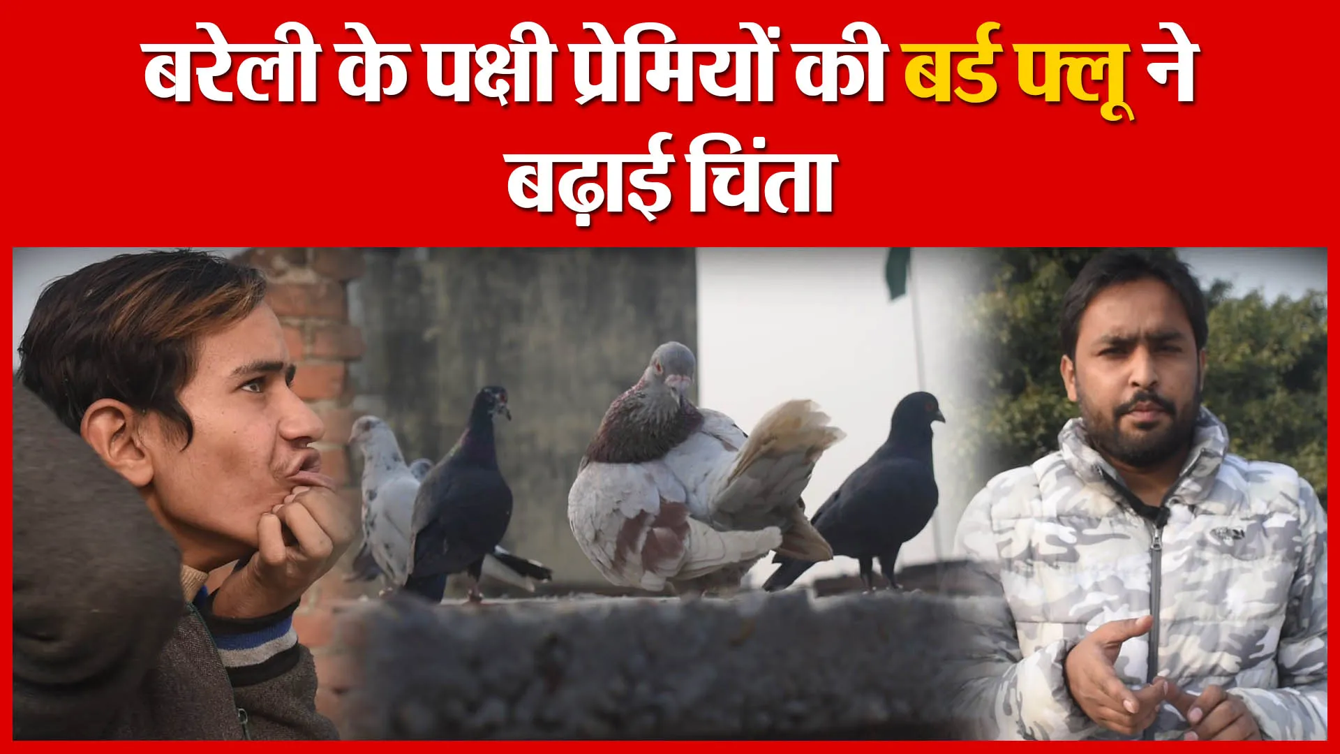 बरेली के पक्षी प्रेमियों की बर्ड फ्लू ने बढ़ाई चिंता | Amritvichar