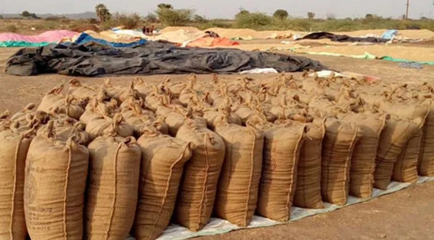 बरेली: धान खरीद एजेंसियों ने किसानों के दबाए 3.96 करोड़, किसान परेशान