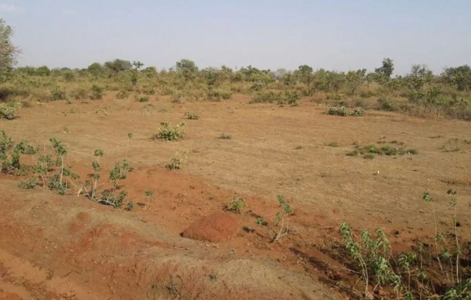 बरेली: फ्रीहोल्ड कराकर 38000 रुपये प्रति वर्ग मीटर के हिसाब से बेची भूमि