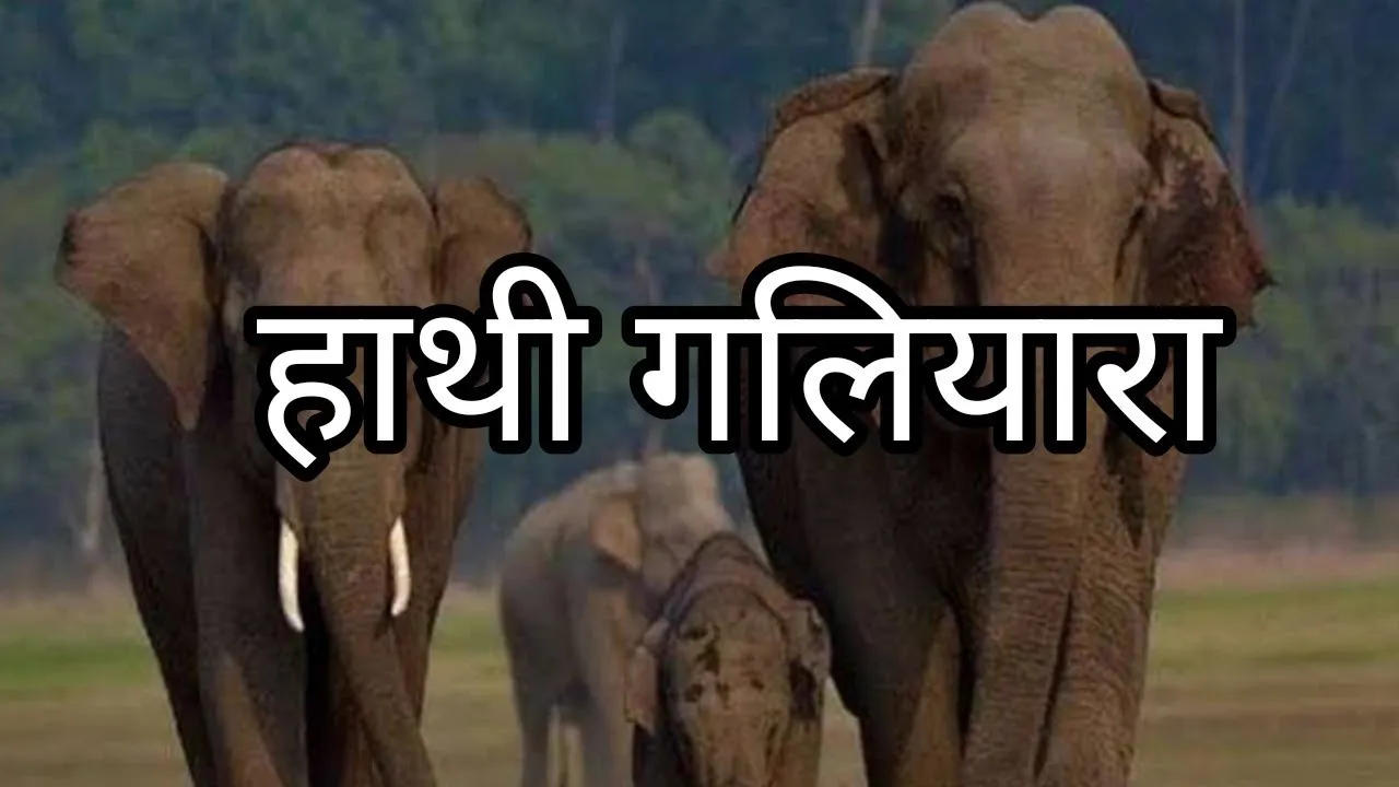 नैनीताल: शिवालिक एलीफेंट रिजर्व मामले में लगी रोक, त्रिवेंद्र सरकार को झटका