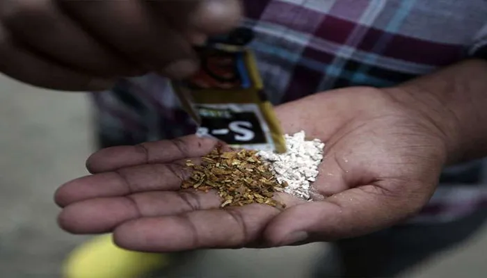 बरेली: शिक्षण संस्थानों में युवाओं को तंबाकू से किया जाएगा दूर
