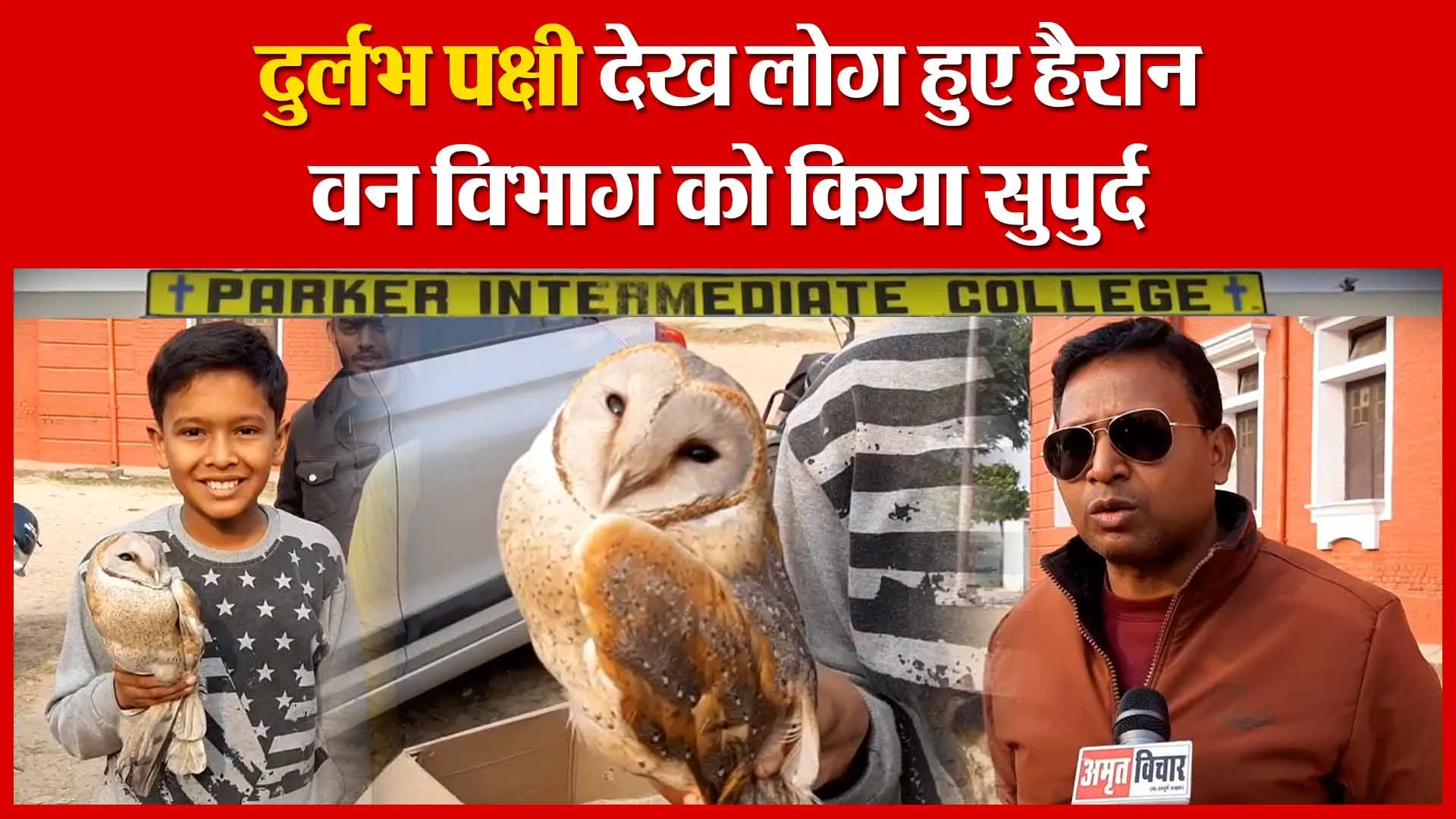 Moradabad: दुर्लभ पक्षी देख लोग हुए हैरान, वन विभाग को किया सुपुर्द | Amritvichar